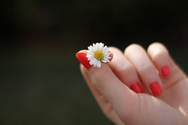 hand-302802_960_720
