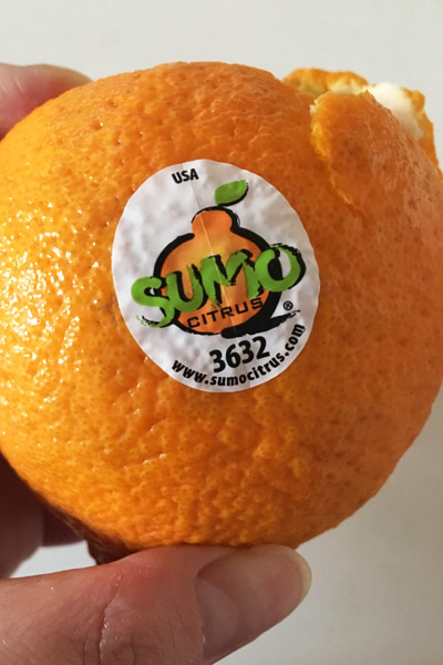 忙しい朝にピッタリなこのフルーツの名前は_2new