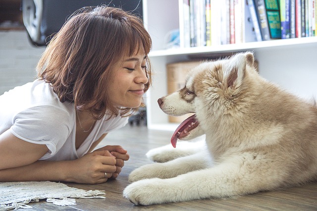 ペットと触れあえばストレス解消！癒しの「ハッピーホルモン」って？