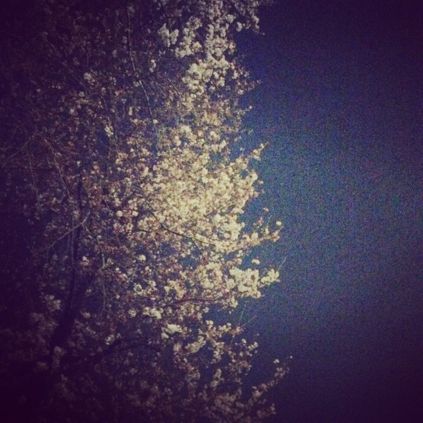 写真 4