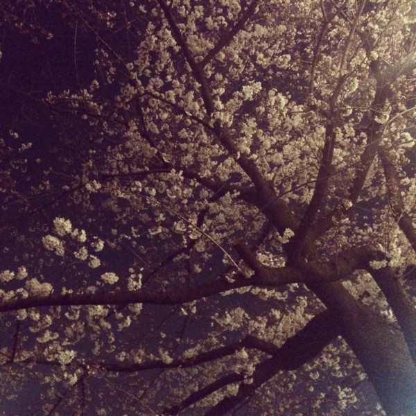 写真 3