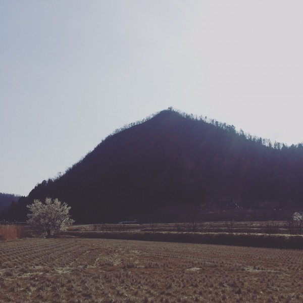 写真 3