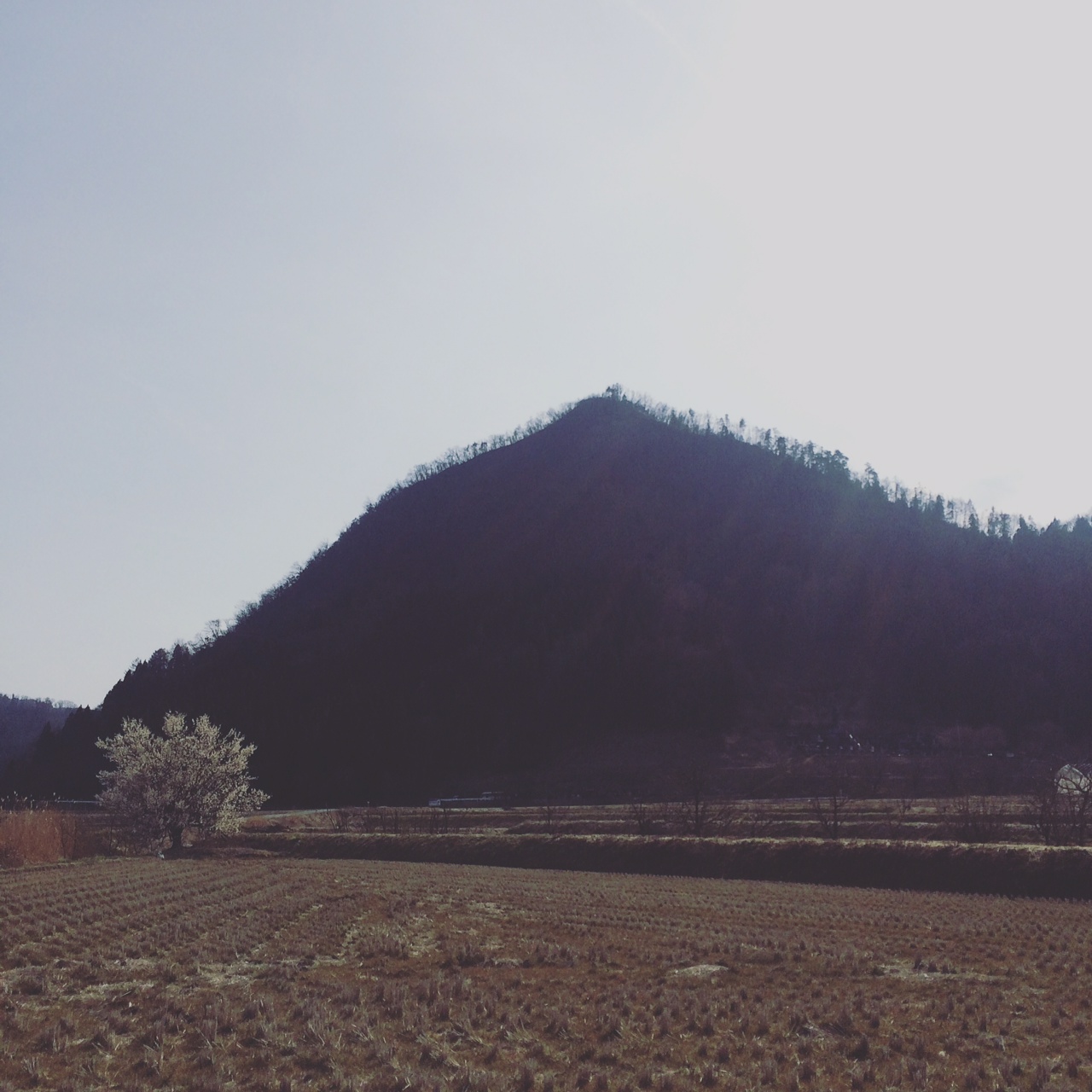 Mt.Togami 里山を登る