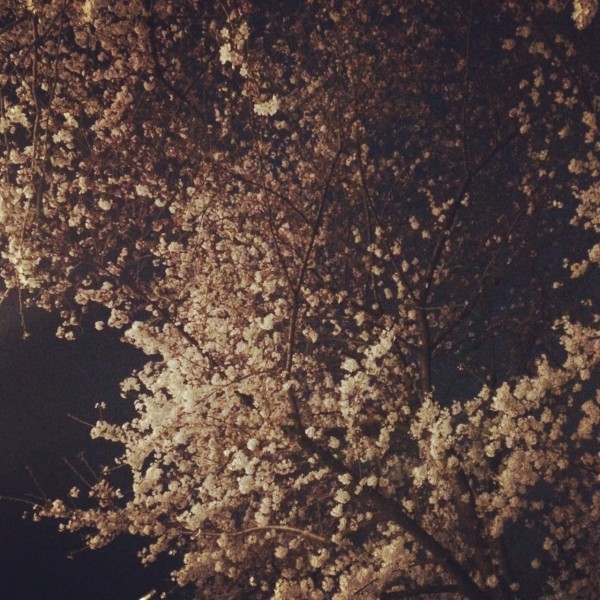 写真 2