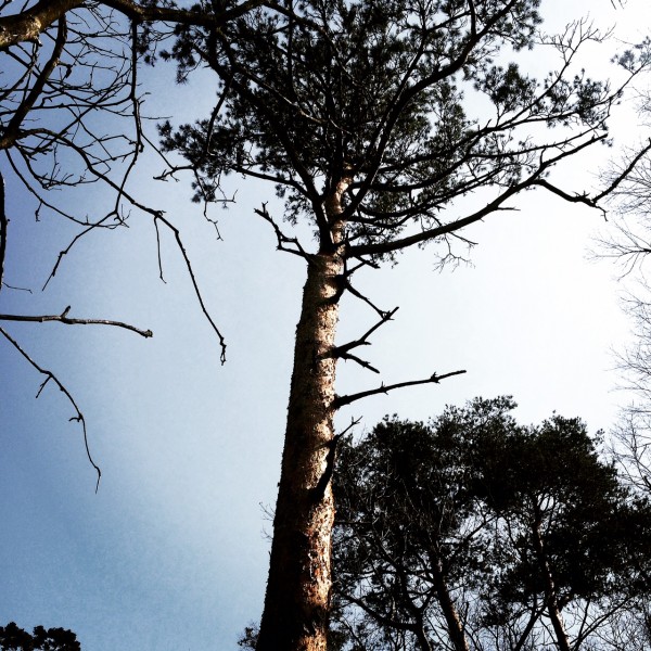 写真 5