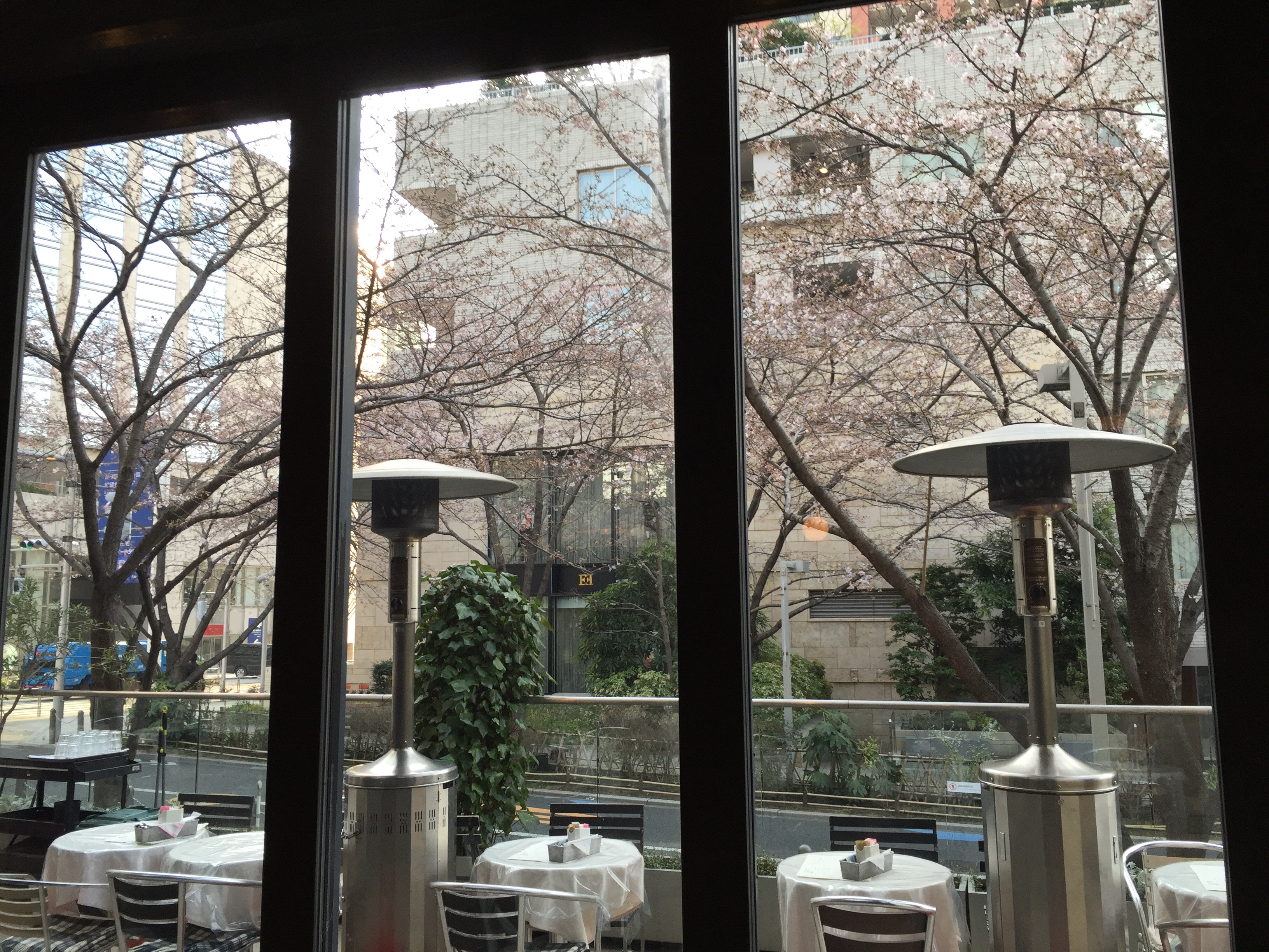 【六本木】桜並木を眺めながら絶品朝ごはん@ローダーデール【vol.84】