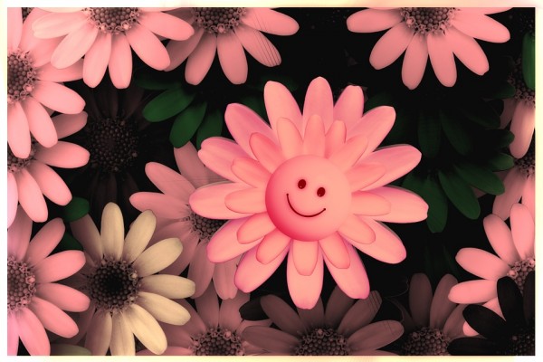 flowers-717609_960_720