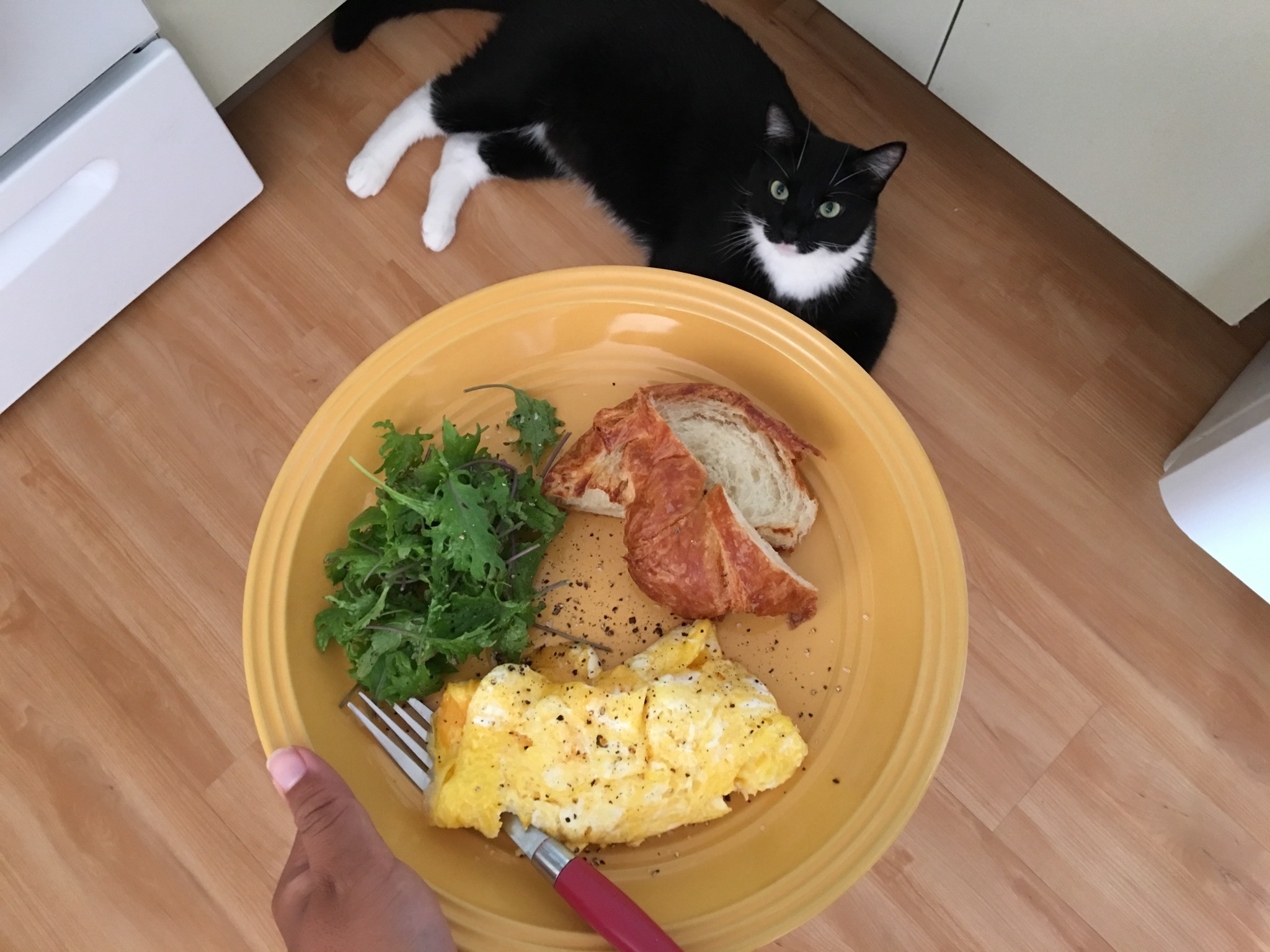 ハワイの隠れた（？）名産で朝ごはん＆春の実り