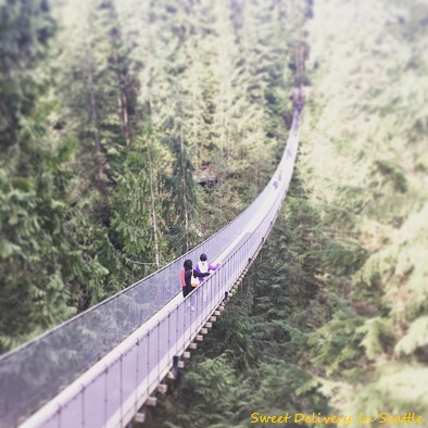 suspension bridge