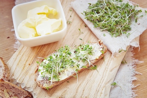cress-1258547_640