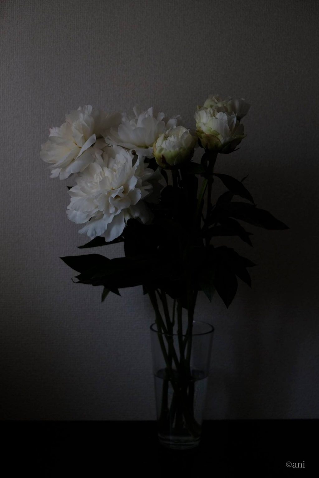 写真 1