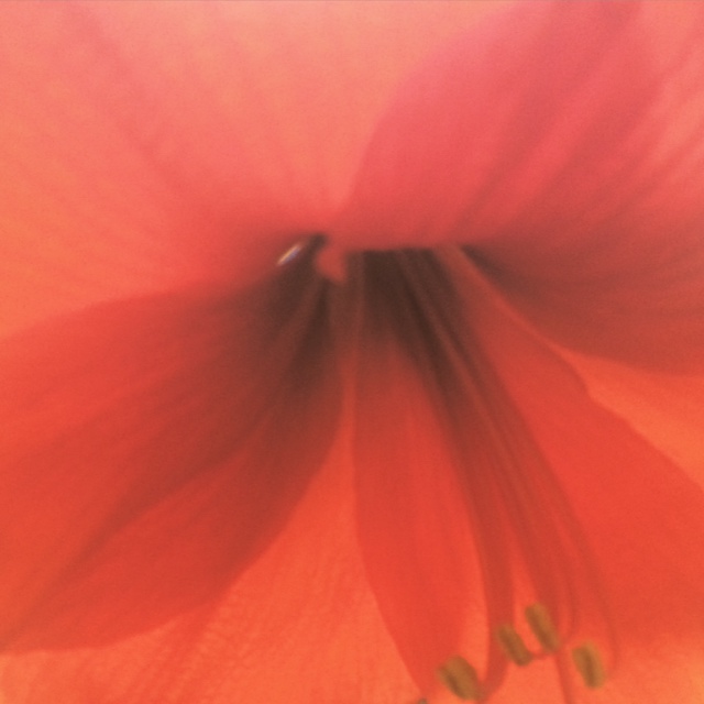 写真 1
