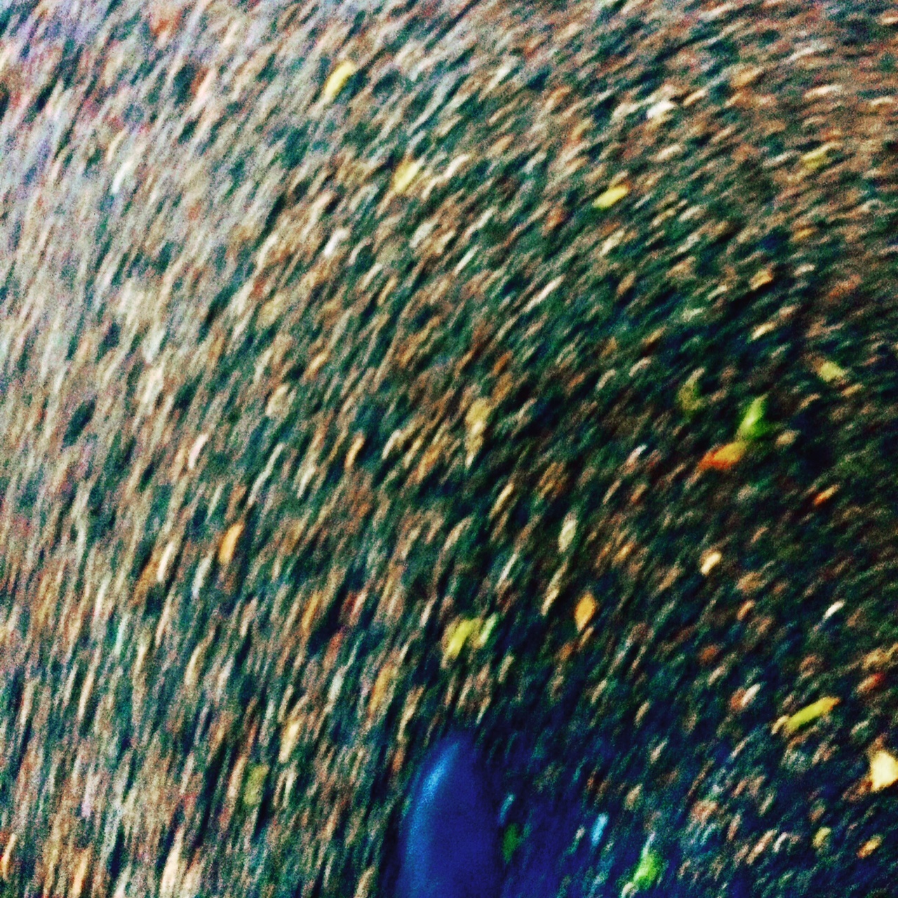 写真 4