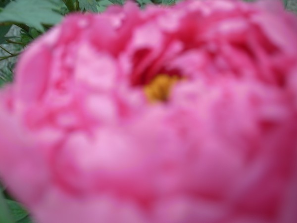 Exif_JPEG_PICTURE
