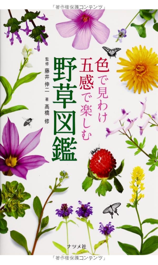野に咲く花を好きになる『色で見分け五感で楽しむ野草図鑑』