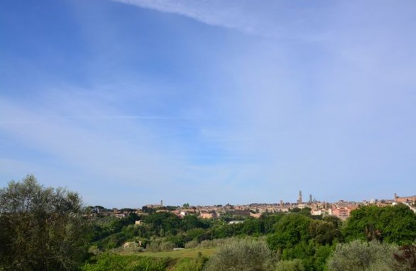 DSC_5789
