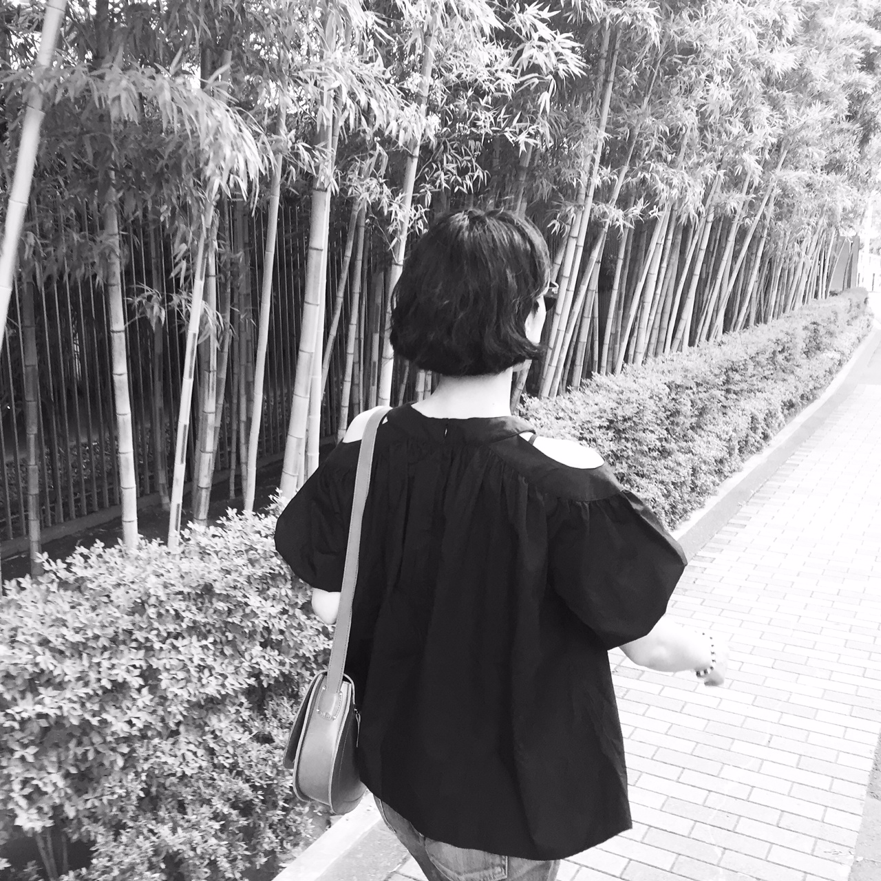 写真 1