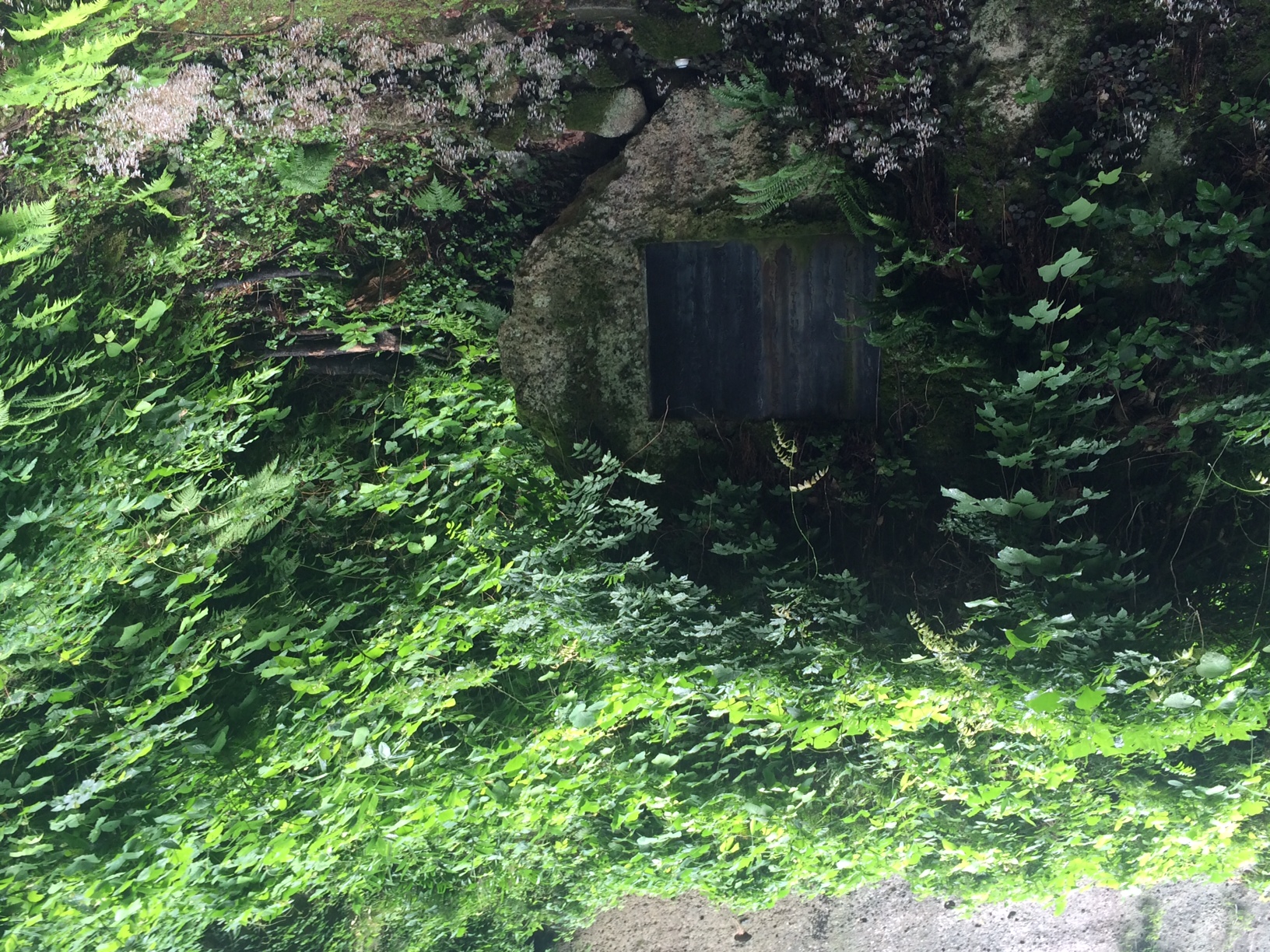 写真 1