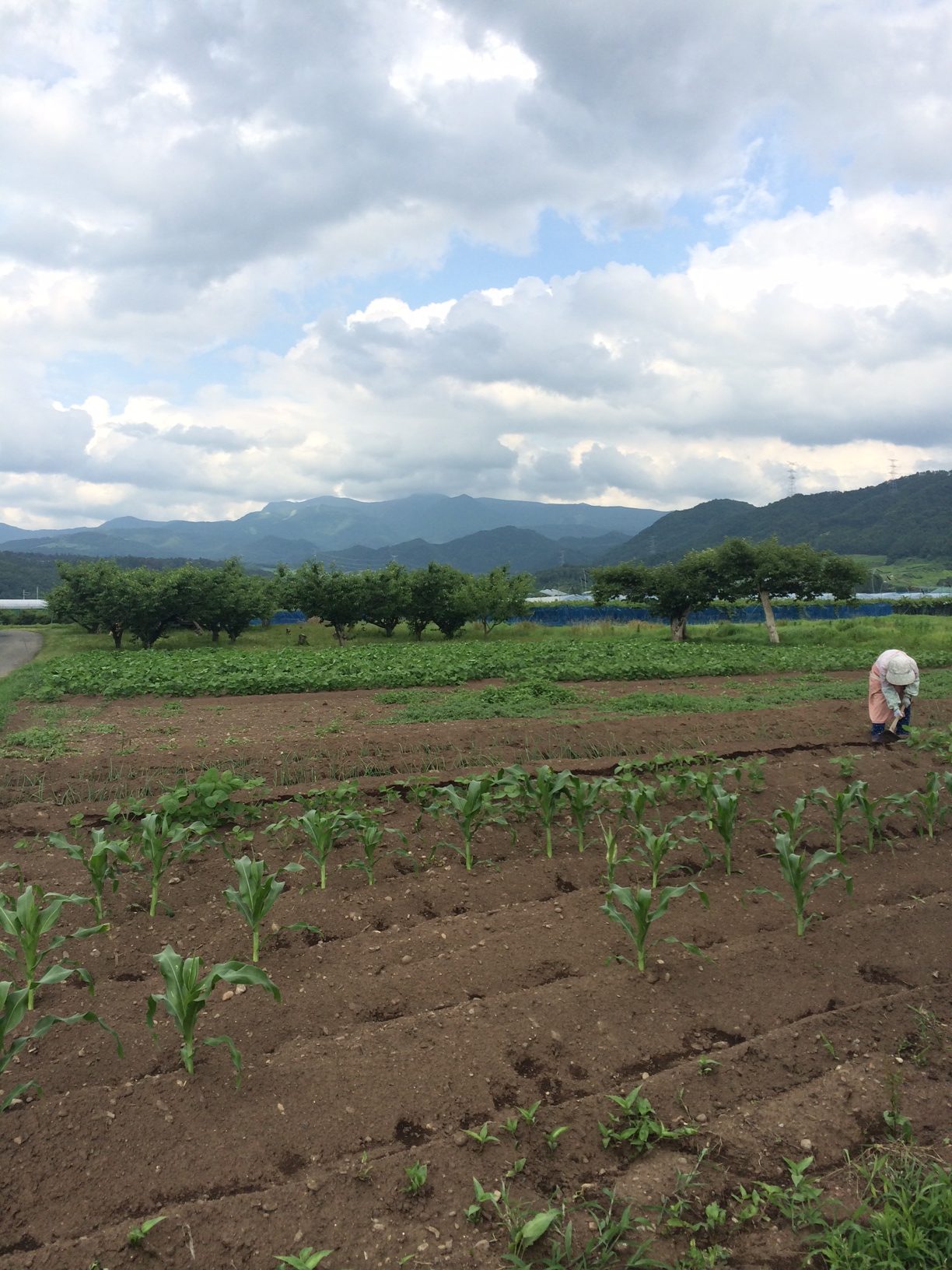 写真 4