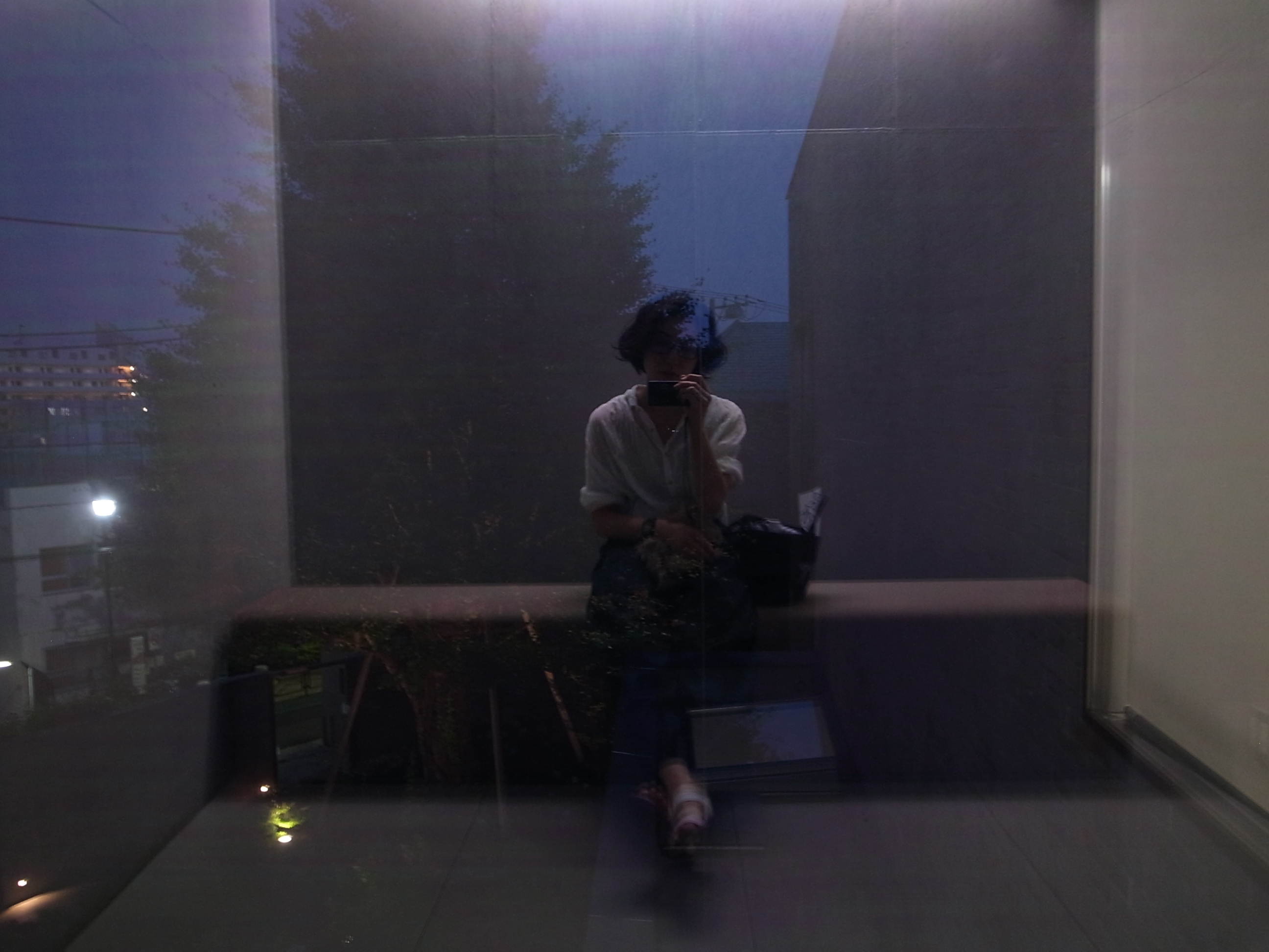Exif_JPEG_PICTURE