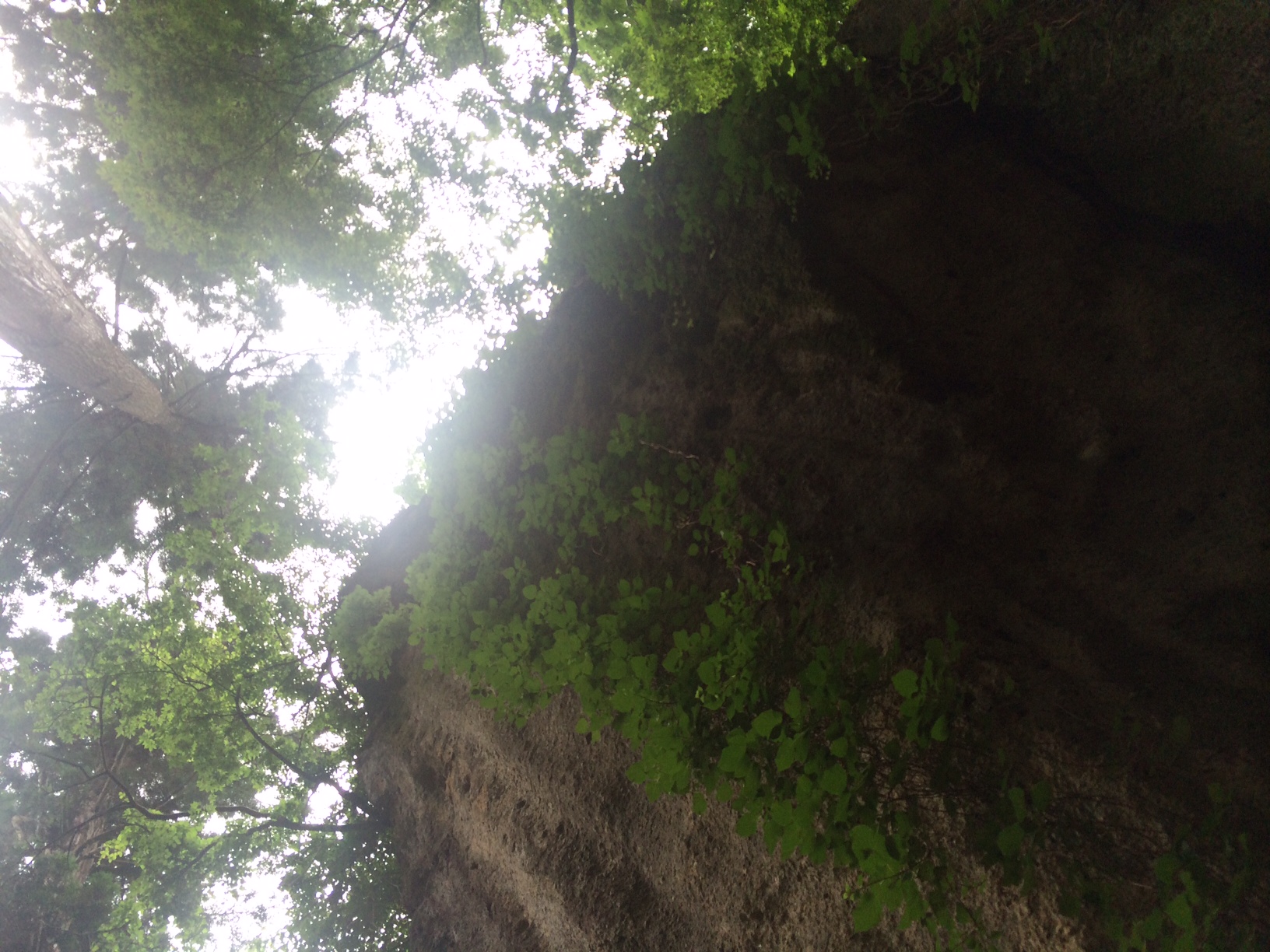 写真 2