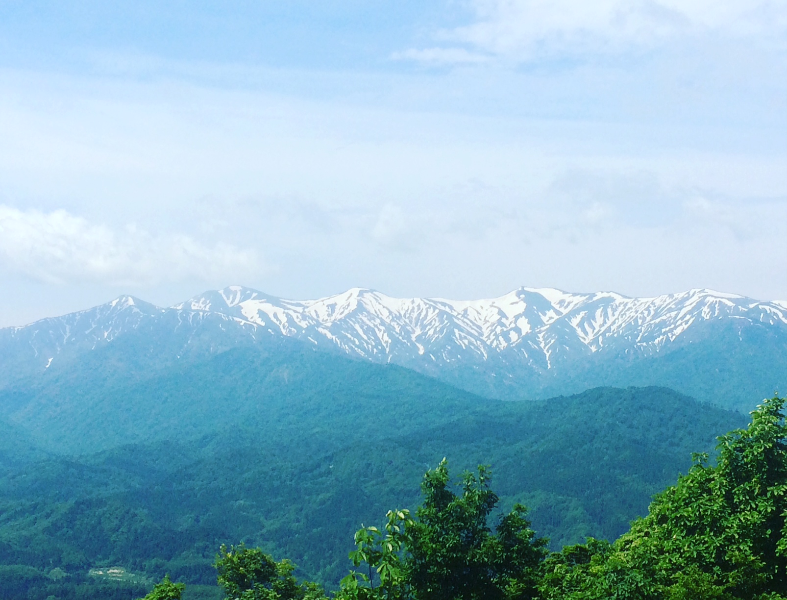 写真 2