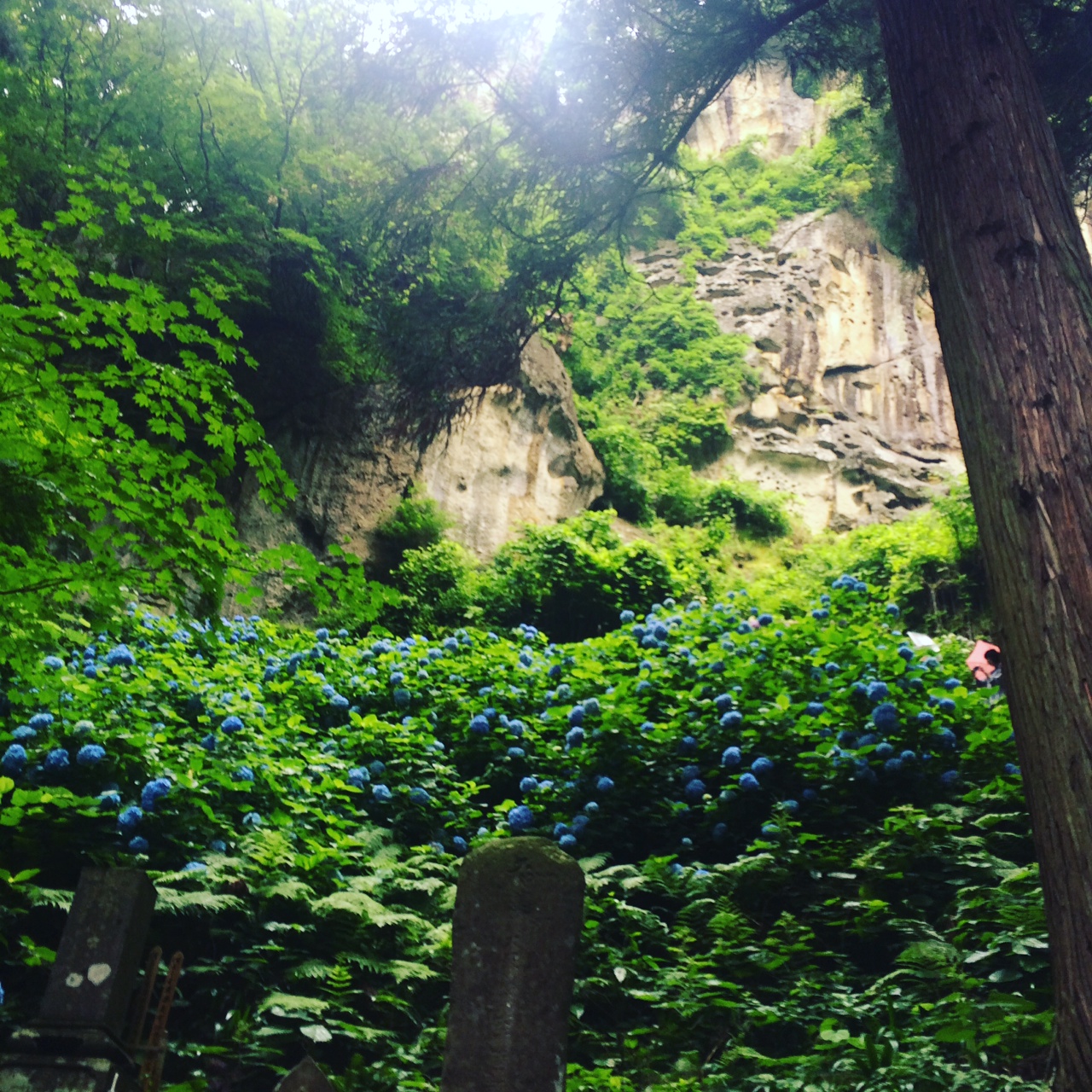 写真 5