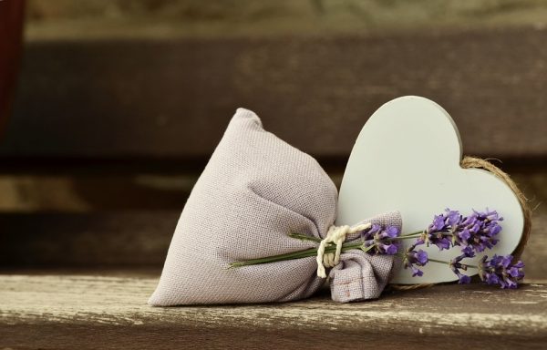 lavender-823600_960_720
