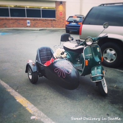 motor cycle
