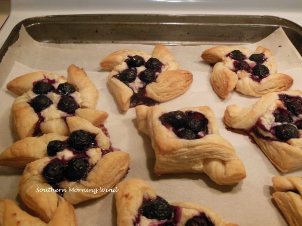 blueberry pie1