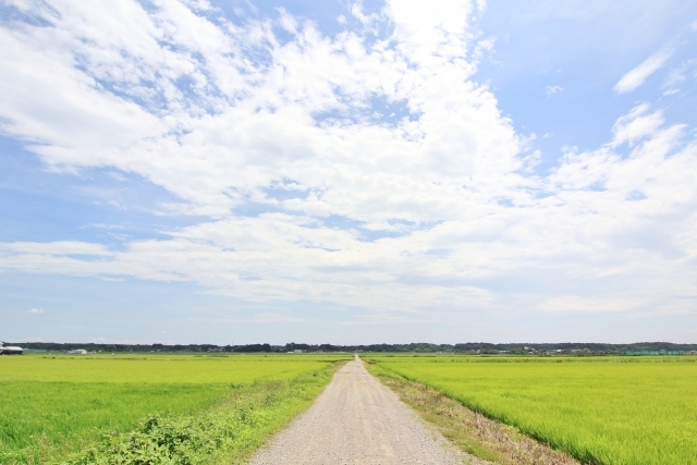今日は夏至（げし）。本格的な「夏じたく」を！