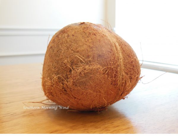 coconut