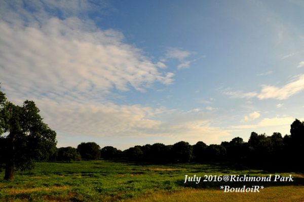 DSC_9947