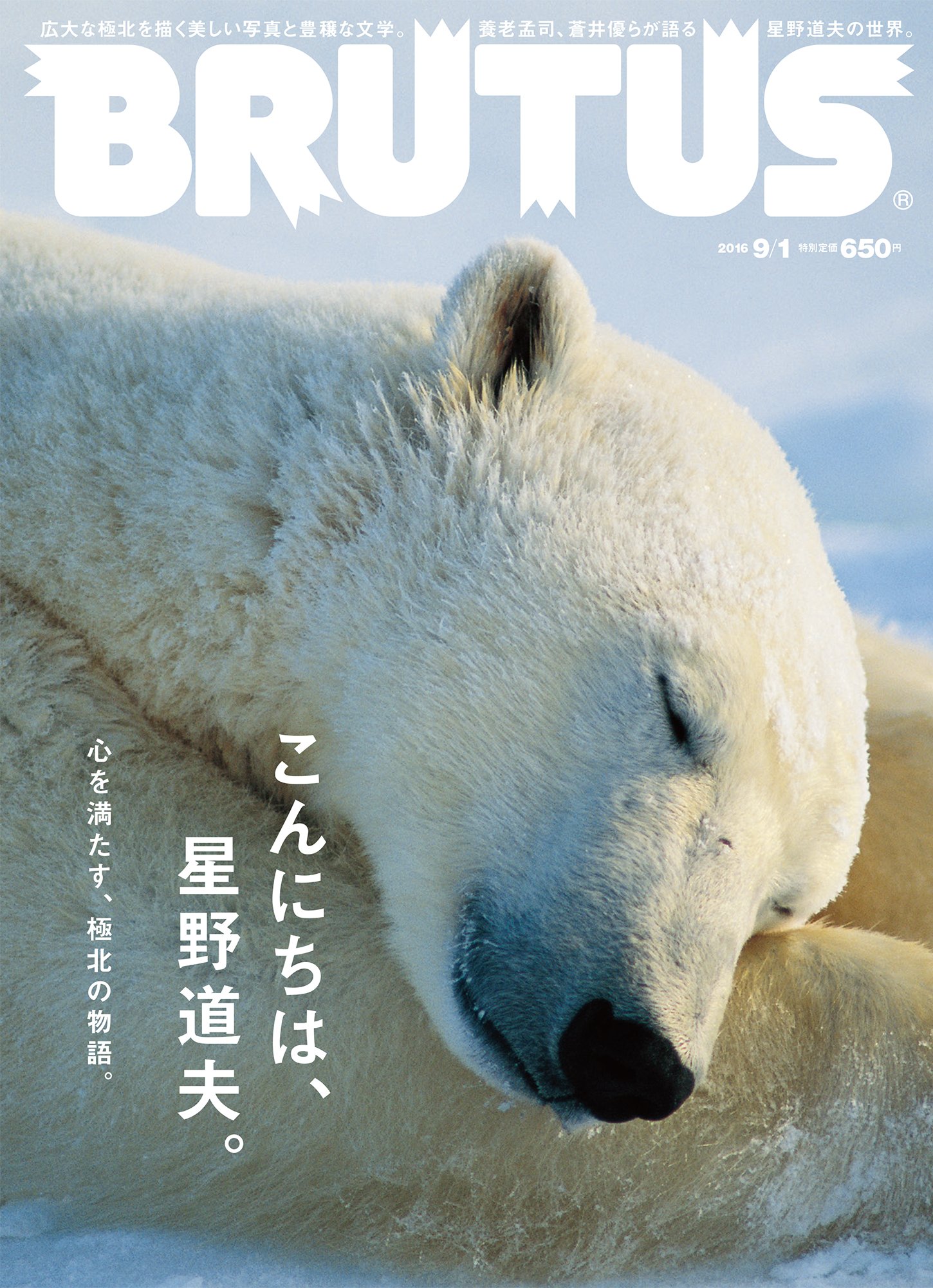 写真家・星野道夫の冒険と旅の世界へ。心を満たす、極北の物語