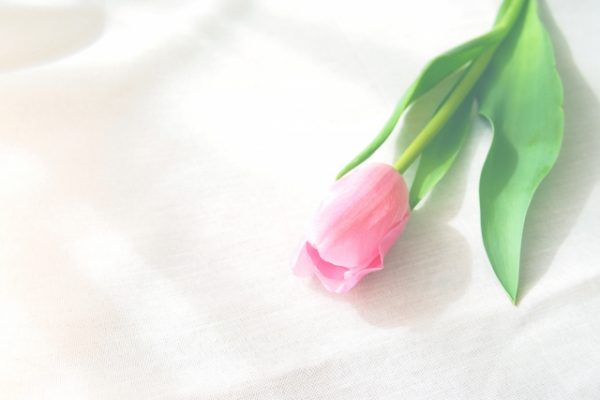 朝活をはじめよう！シンプルに暮らすあのひと達の朝時間