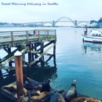 sealion