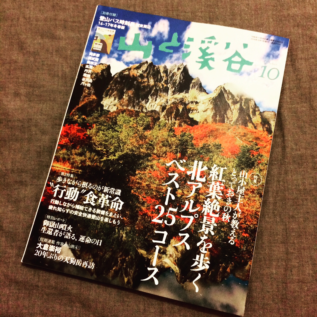 写真 1