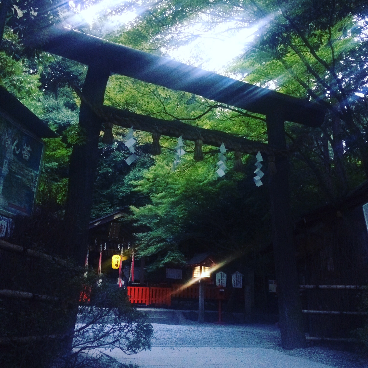 写真 4