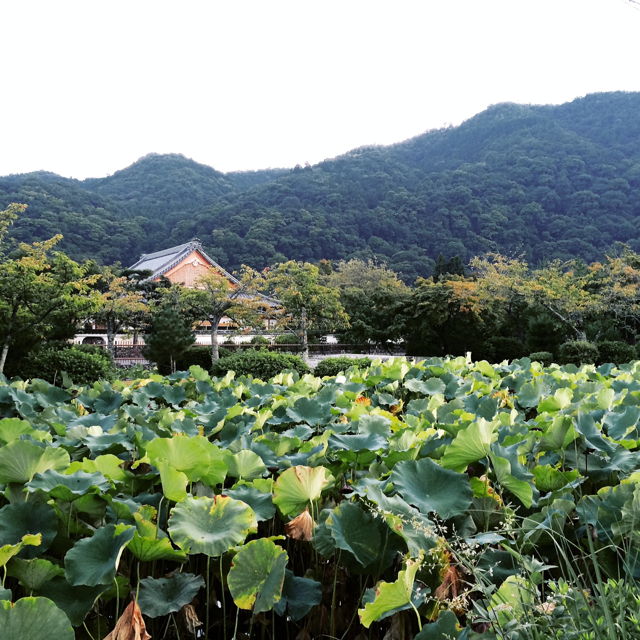 写真 3