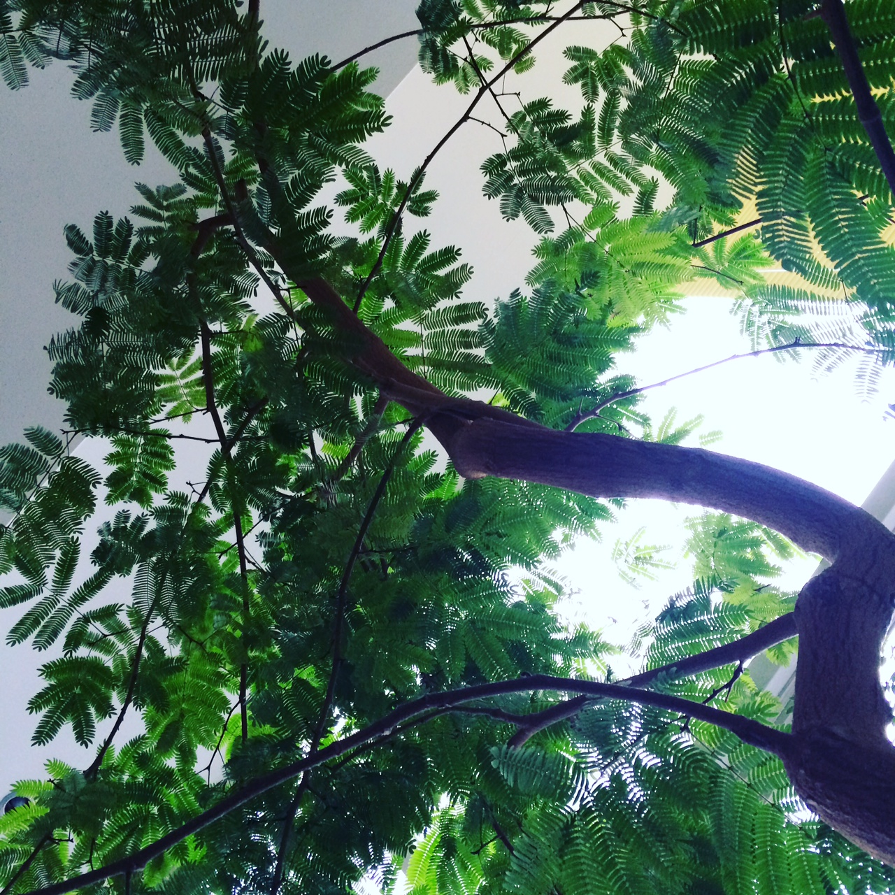 写真 3
