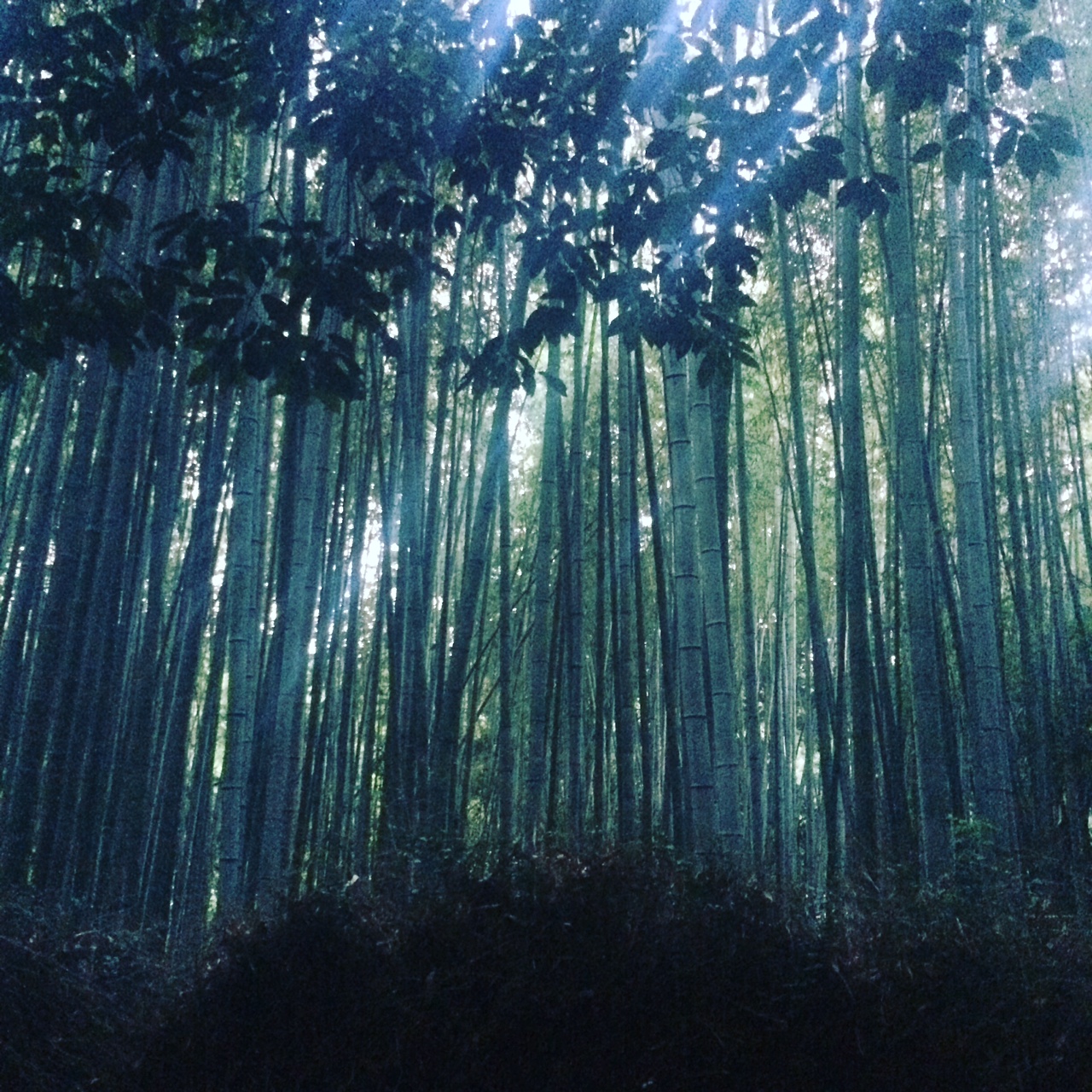 写真 5