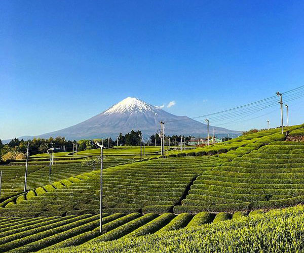 毎朝の楽しみ！丁寧な朝ごはん＆富士山を眺める朝時間