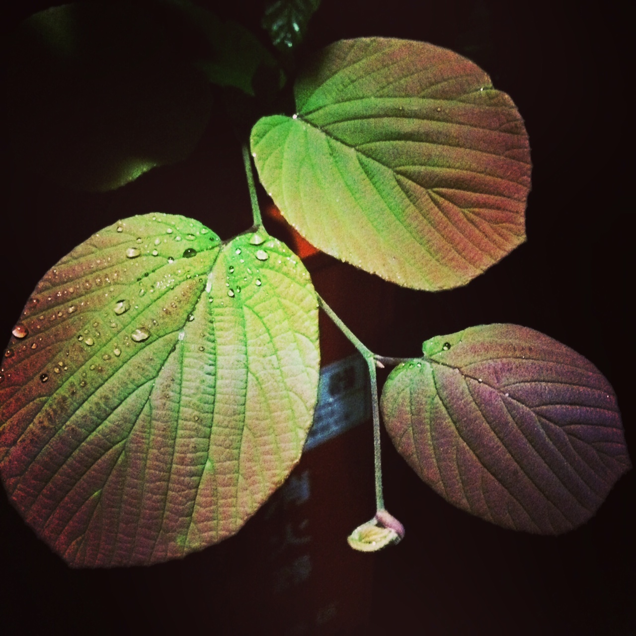 写真 2