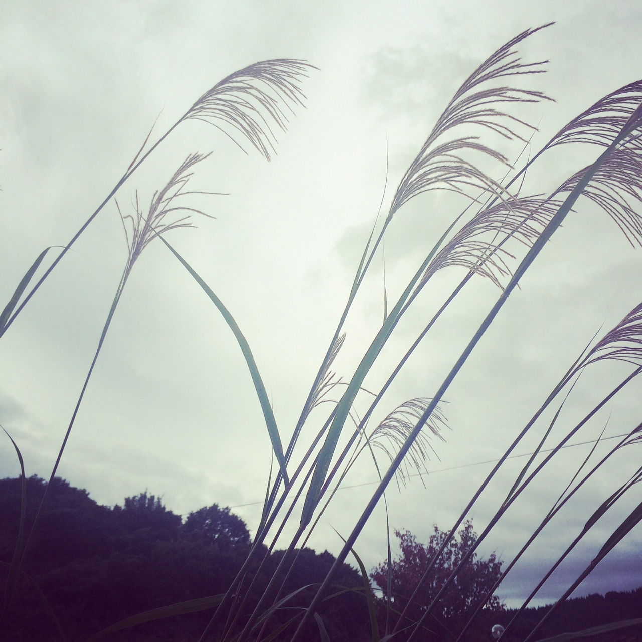 写真 5
