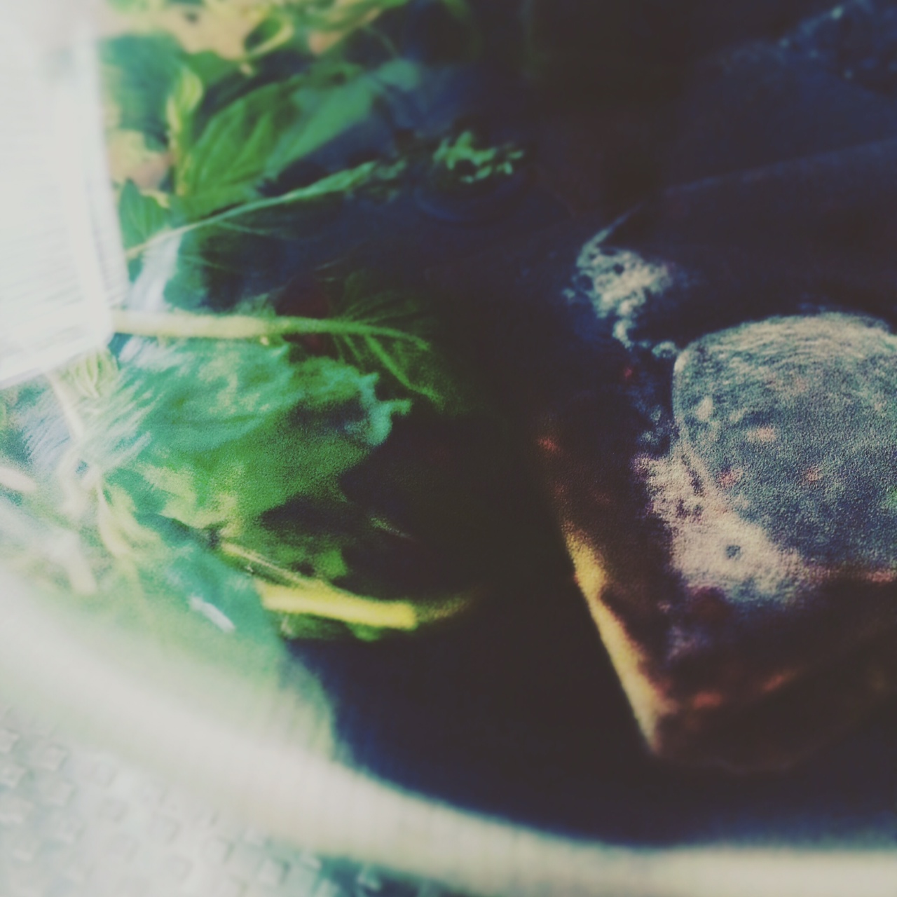 写真 5