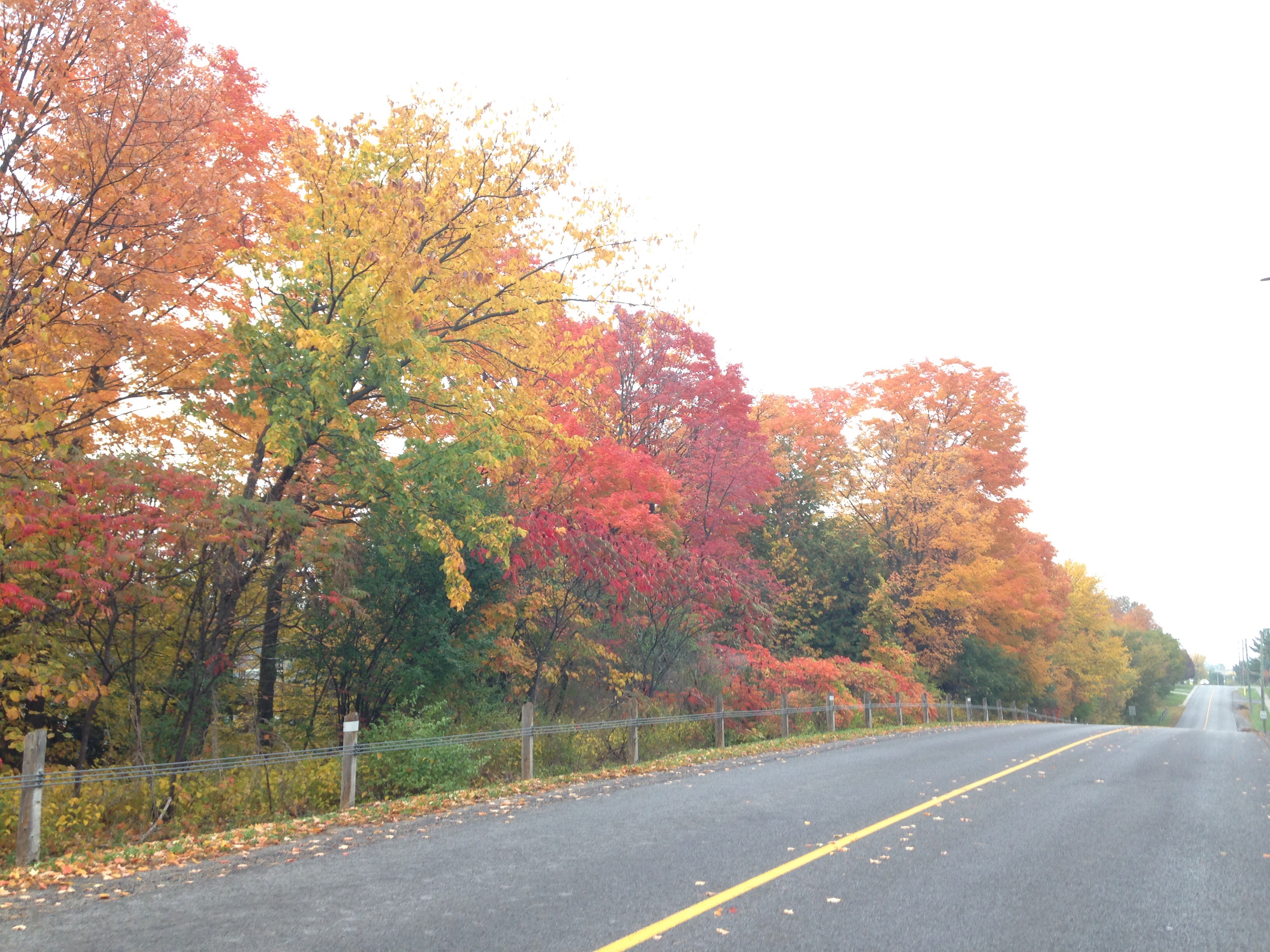 紅葉のメープル街道 2016　(Part 1)