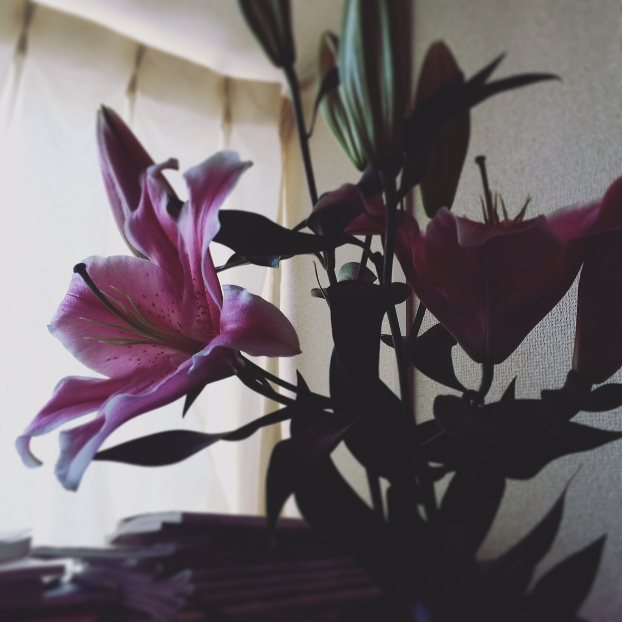 写真 5