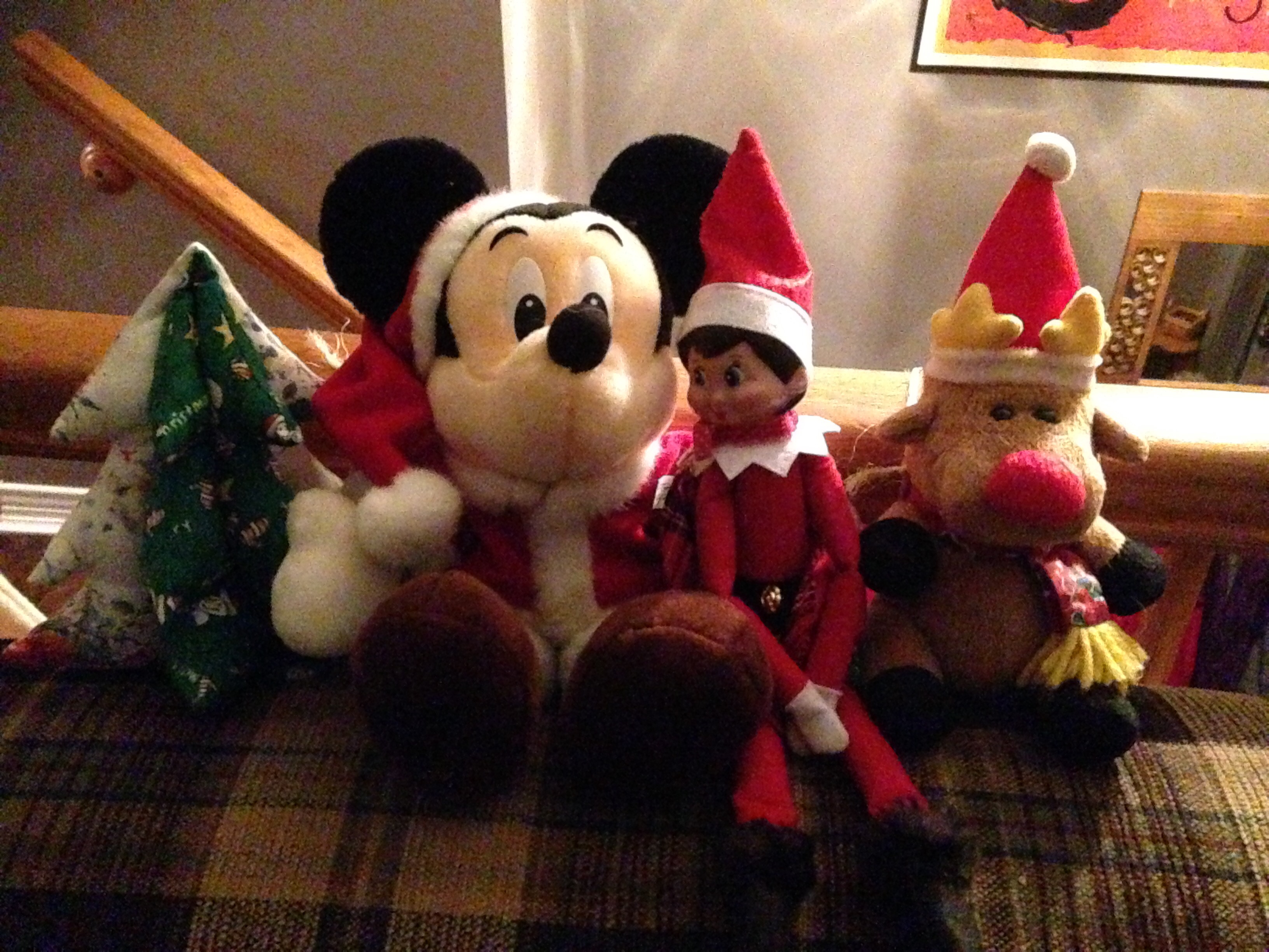 The Elf on the Shelf が戻ってきました。