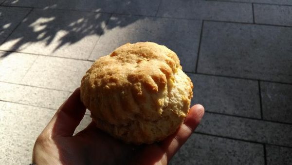 サラベス_ビスケット