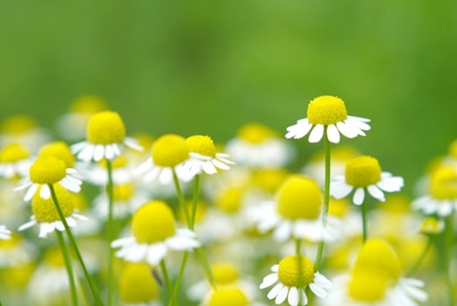 つら～い花粉症、私の対策法